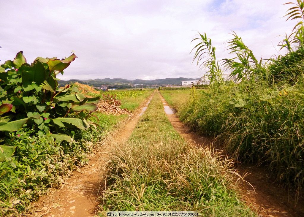 乡间小路,白云,田野,野草,田间风景,村庄,山脉
