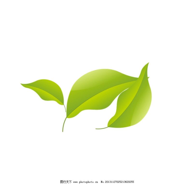 ppt 背景 壁纸 电脑桌面 发芽 绿色 绿色植物 绿叶 嫩芽 嫩叶 树叶图片