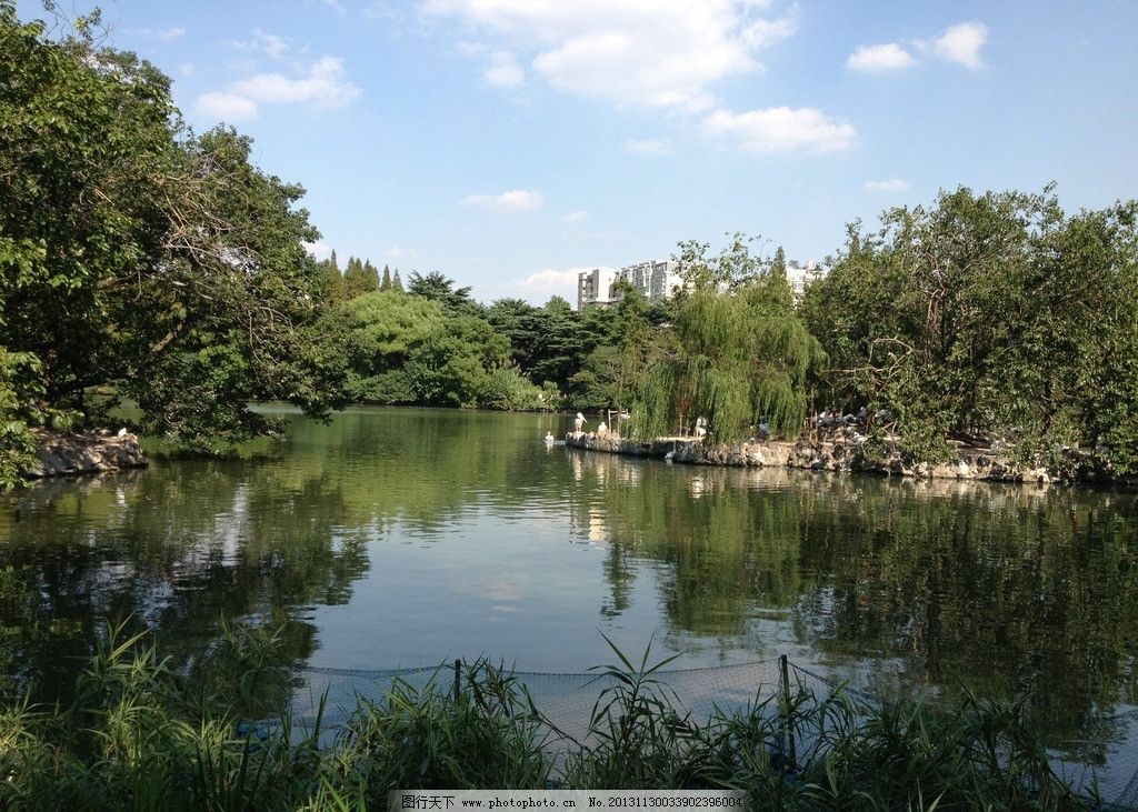 远景 自然风景 河流 树林 景观 山水风景 摄影 自然风光 国内旅游