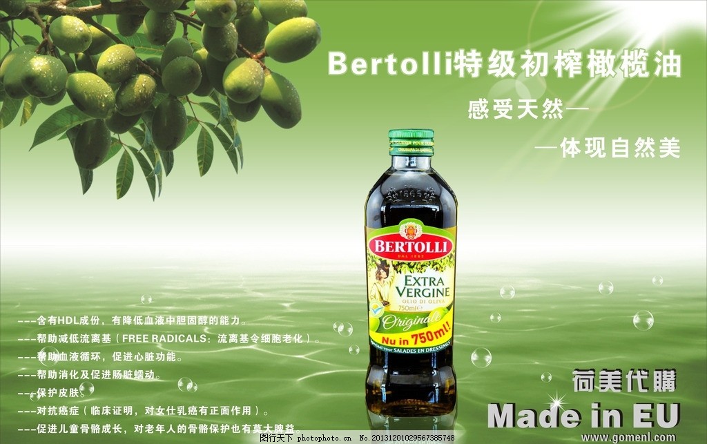 橄榄油,广告 背景 用品 美容 荷美代购 海报 外国