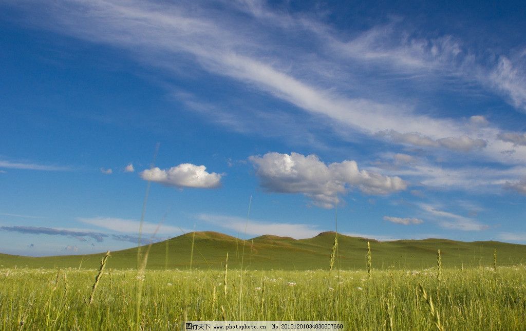 锡林郭勒草原图片,风景 蓝天 草地 白云 自然风