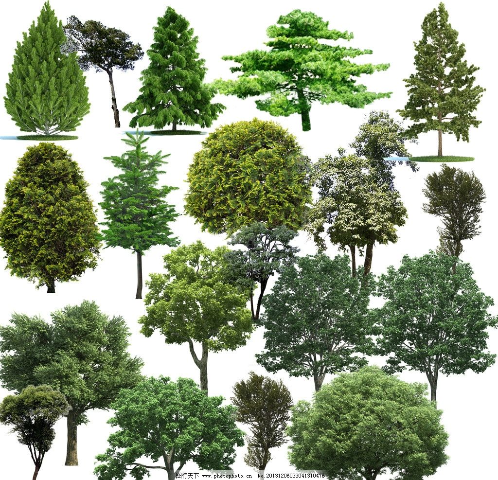 常见绿植树木平面图
