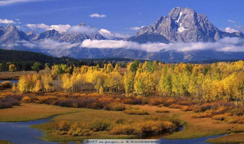 山水风景 树木 水草 溪流 云雾 高山 摄影