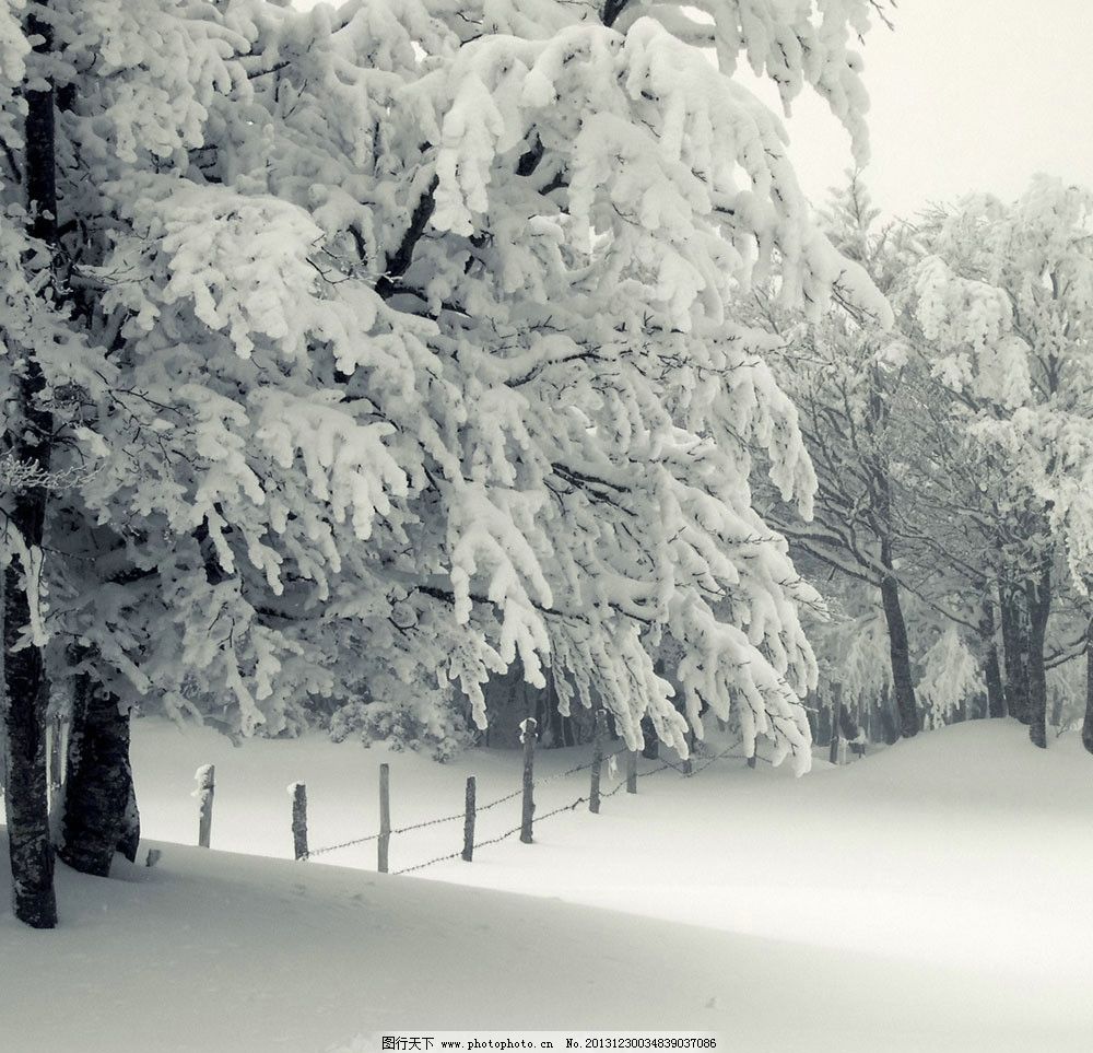 冬天的雪景