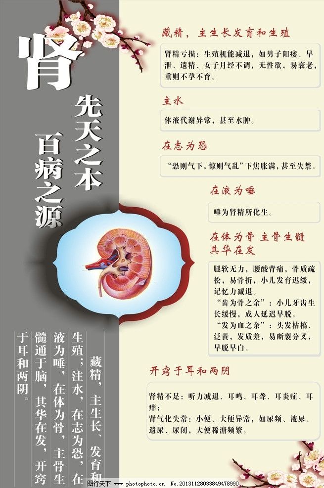 中医与肾,中医,展板,薰洗,灸法,推拿,医疗,保健,医疗保健,生活百科,矢量,CDR,矢量素材,其他矢量